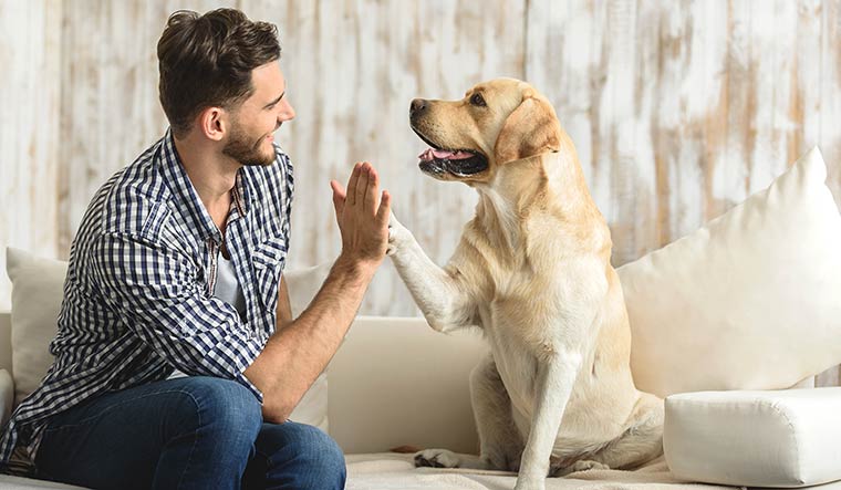 can-dogs-sniff-out-your-stress-naturalescool